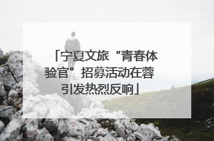 宁夏文旅“青春体验官”招募活动在蓉引发热烈反响